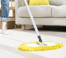 green house cleaning services London